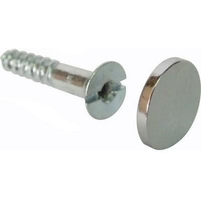 Mirror screw and disc set