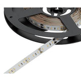 Loox 12V LED 2045 flexible strip light